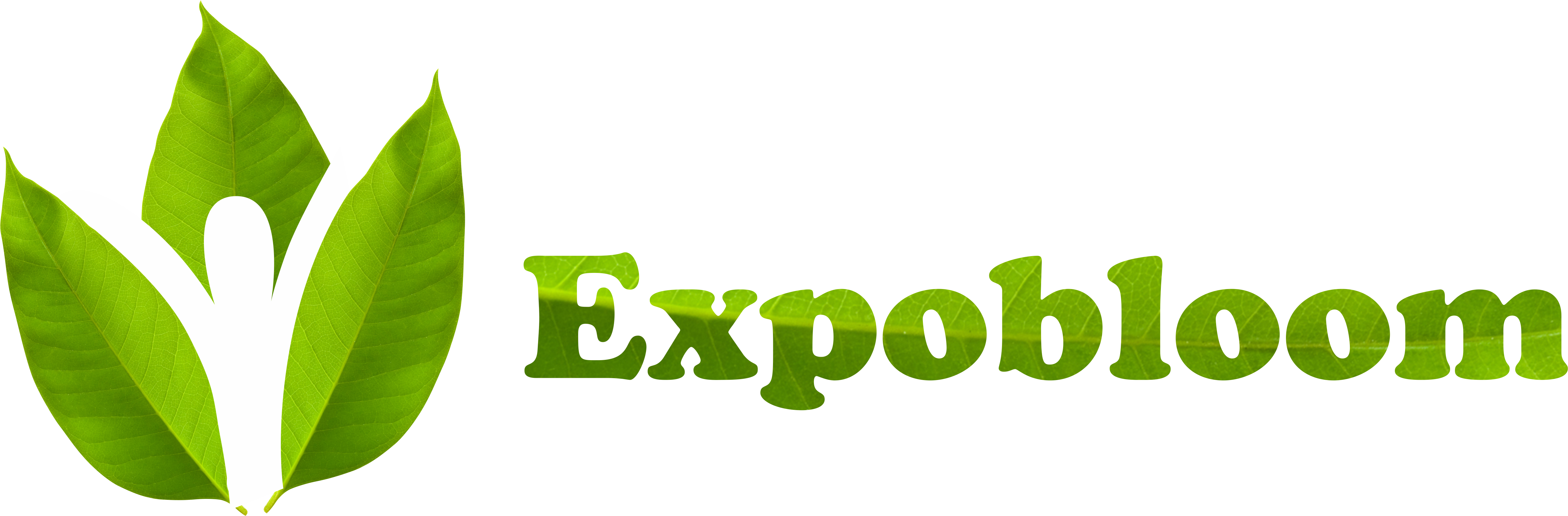 ExpoBloom